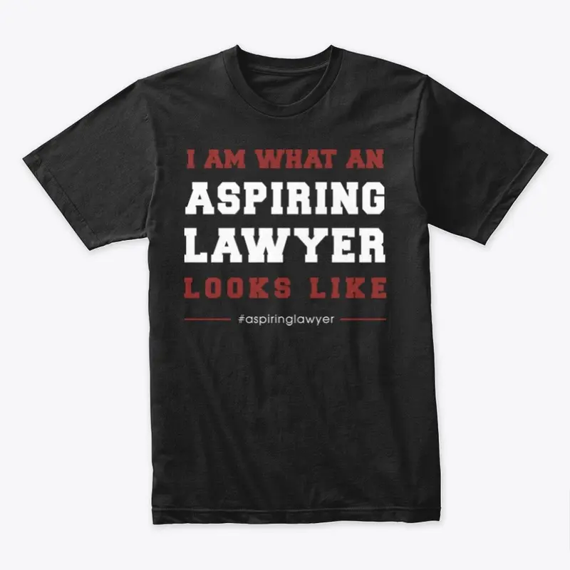 I AM WHAT AN ASPIRING LAWYER LOOKS LIKE